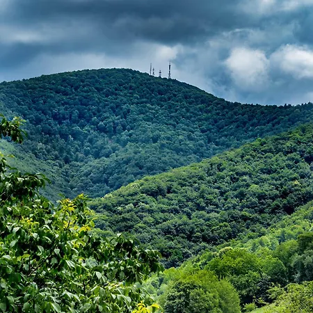 Sumski Kutak * Rudnik